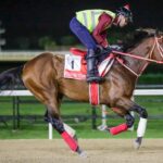 FOREVER YOUNG @RacingDubai