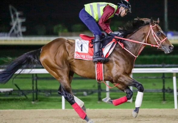 FOREVER YOUNG @RacingDubai