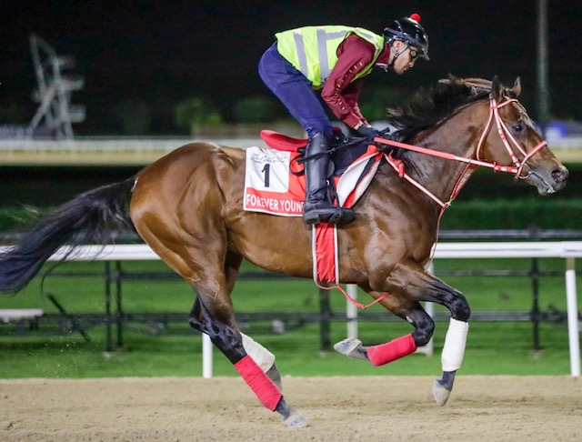 FOREVER YOUNG @RacingDubai