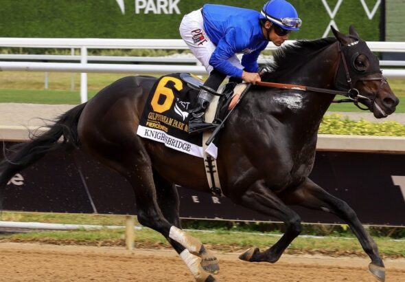 DE  PEDIGREE mi columna de esta semana 3-3-26