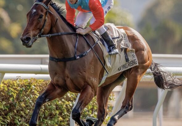 KA YING RISING 6-4-16 @HKJCRacing