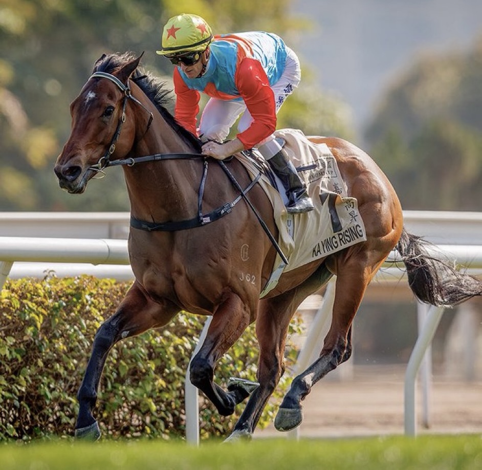 KA YING RISING 6-4-16 @HKJCRacing