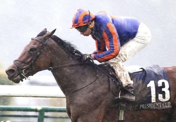 DIAMOND NECKLACE 10-5-26 @coolmorestud